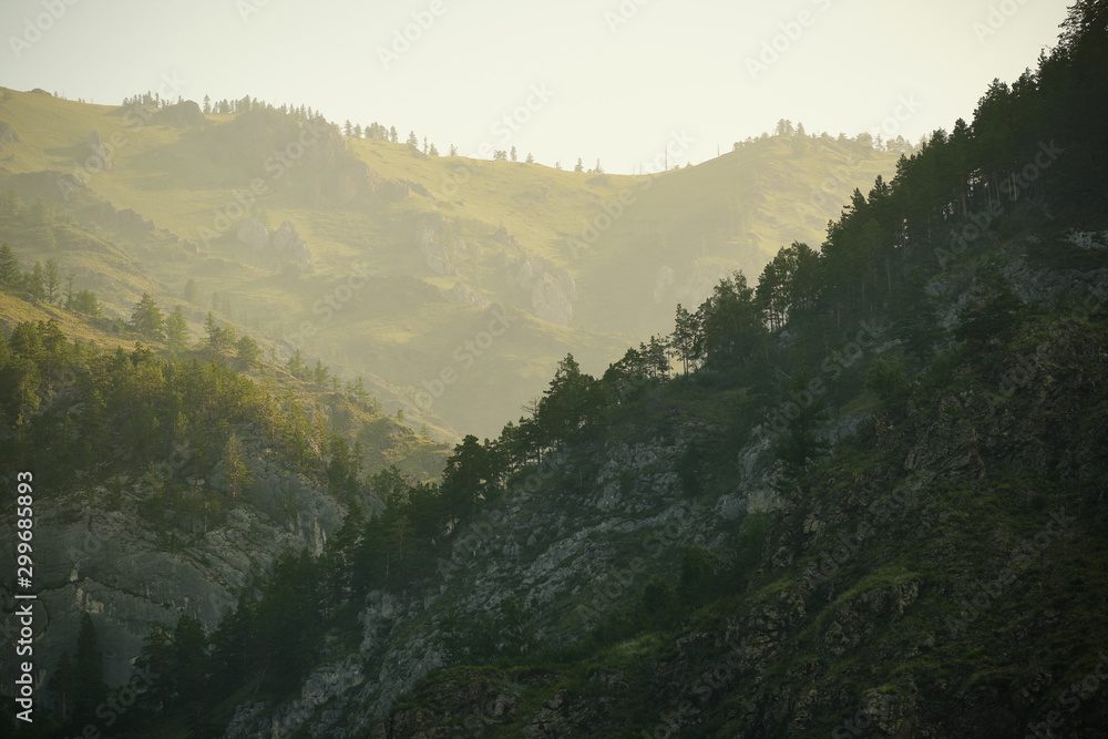 Mountains sunrise background forest trees Mountains sunrise background forest trees