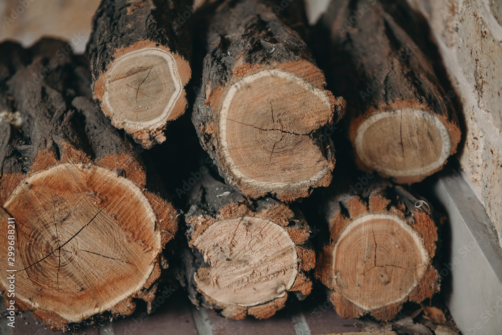 Chopped round firewood stacked in rows close up