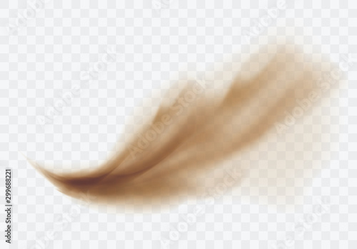 Desert sandstorm, brown dusty cloud or dry sand flying with gust of wind, big explosion realistic texture vector illustration isolated on transparent background