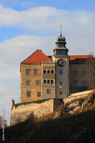 Obraz na płótnie Pieskowa Skala castle in the Ojcowski National Park, Poland w salonie