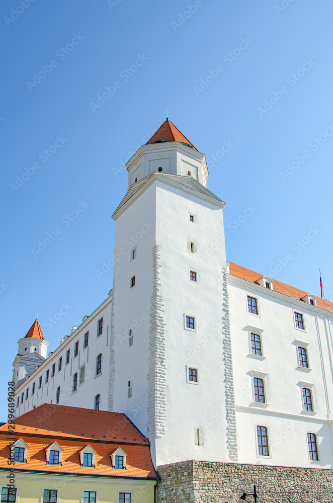 tower of the castle