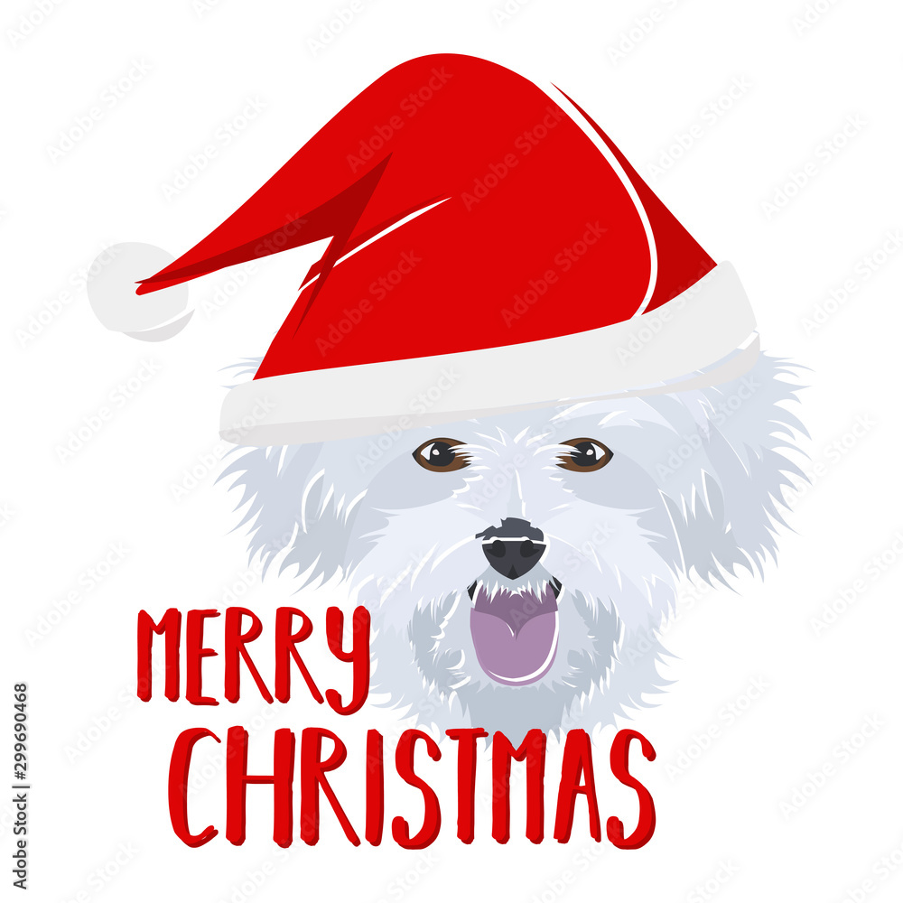 Illustration Hund Malteser Weihnachten Stock Vector | Adobe Stock