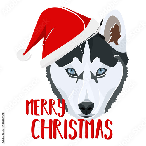 Illustration Hund Husky Frohe Weihnachten