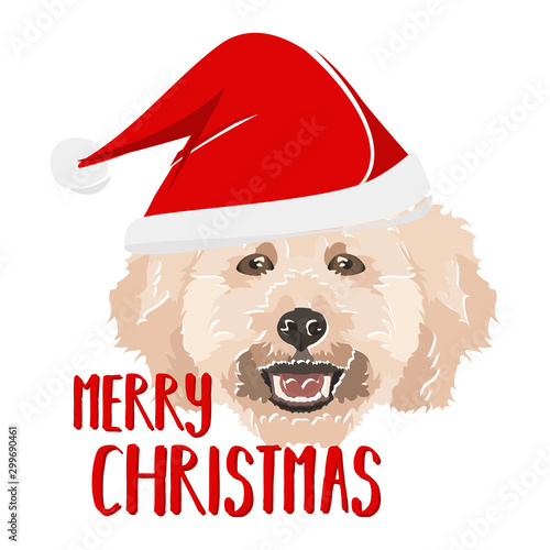 Illustration Hund Pudel Frohe Weihnachten