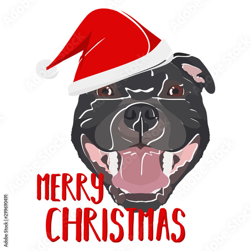 Illustration Hund Staffordshire Bullterrier Frohe Weihnachten