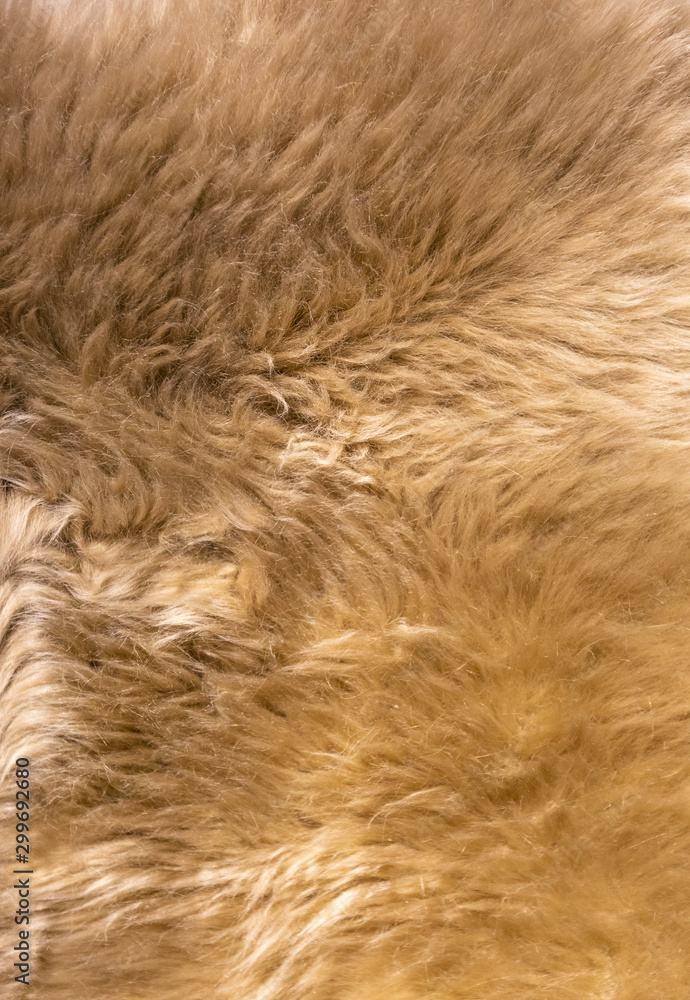 Tiled sheepskin wool, macro close up Tiled sheepskin wool, macro close up