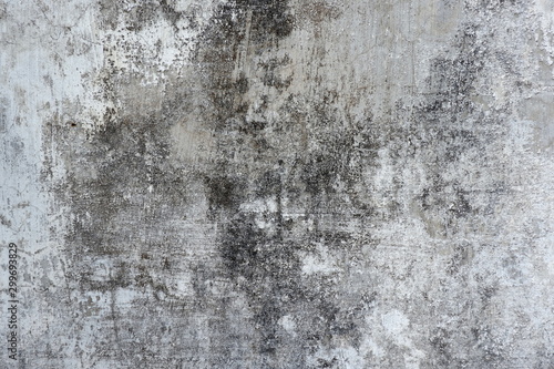 Stucco white wall background or texture.Wall fragment with scratches and cracks.White and golden messy wall stucco texture background. Decorative wall paint.Ultrawide Grunge Seamless Grey Grunge. © Hari