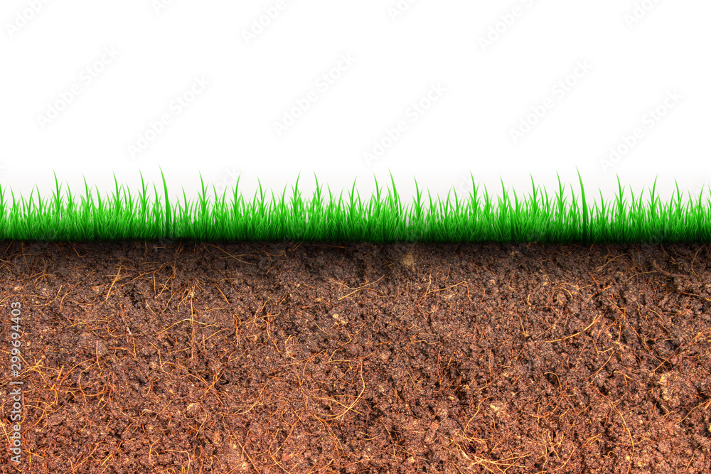 Abstract Image Of Cross Section Brown Soil And Green Grass In