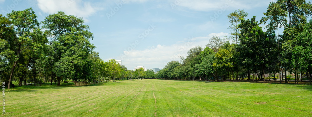 Panorama image of Beautiful of green lawn grass meadow field and trees in public park with city buildings in the background. - obrazy, fototapety, plakaty 