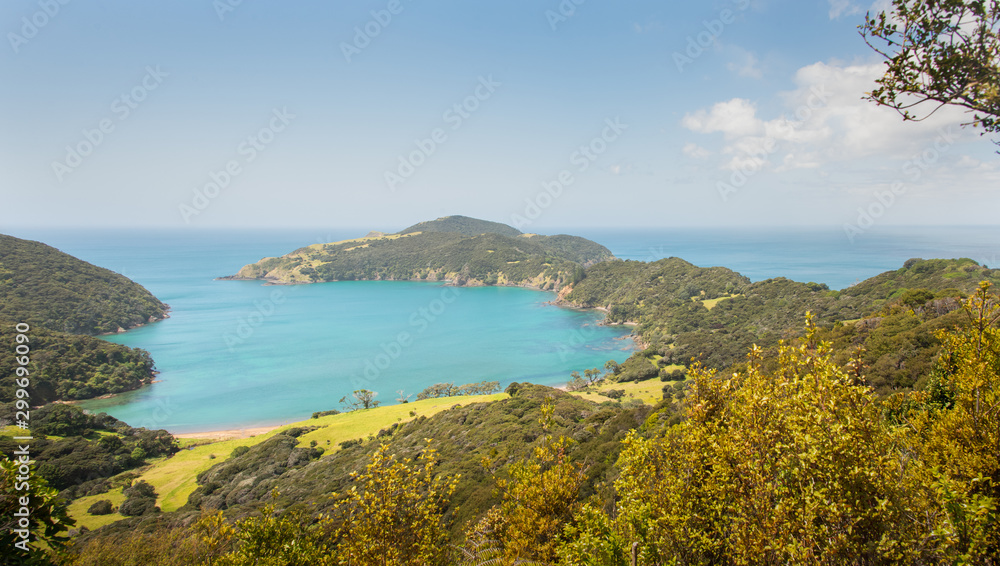 Panoramic view of the magnificent Whangamumu harbour, Russell, Bay of Island