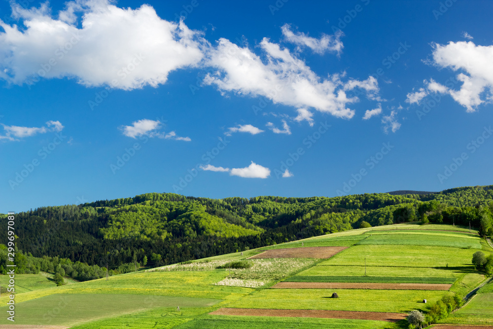 Mountain landscape in summer. Beskid Sadecki near village Przysietnica, Poland.