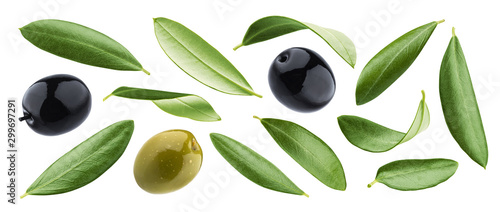 Fotografia Black and green olives with leaves isolated on white background