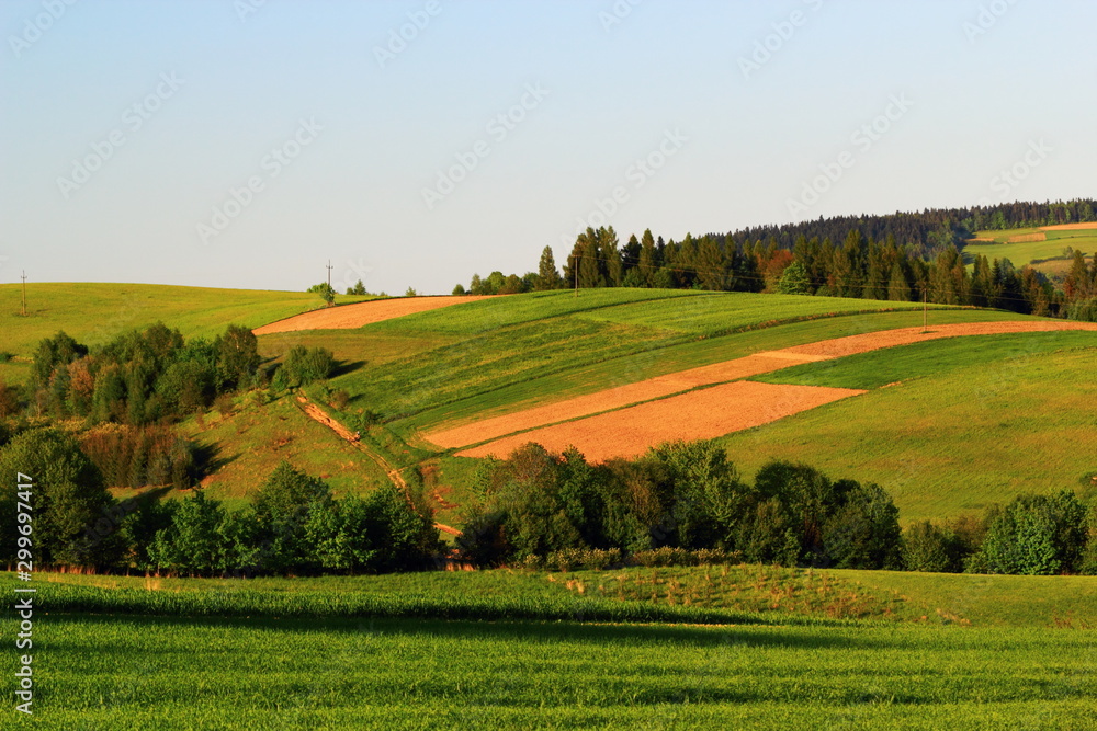 Spring. Green Fields at Sunset. Beskid Sadecki Mountains near village Przysietnica, Poland. Spring. Green Fields at Sunset. Beskid Sadecki Mountains near village Przysietnica, Poland.