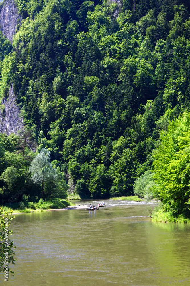 Dunajec River Gorge near Rygle Sokolicy Mount. Pieniny Mountains, Poland.