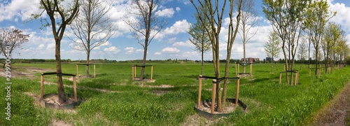 Emmen Noordbargeres. Before building the new Zoo Wildlands Netherlands photo