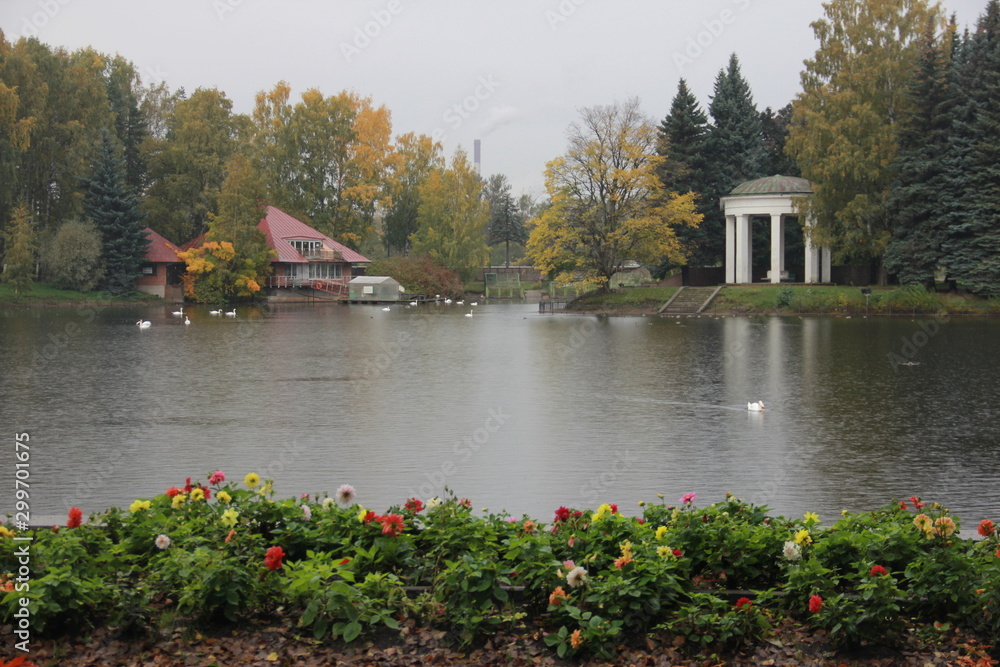 Obraz premium park jesienią