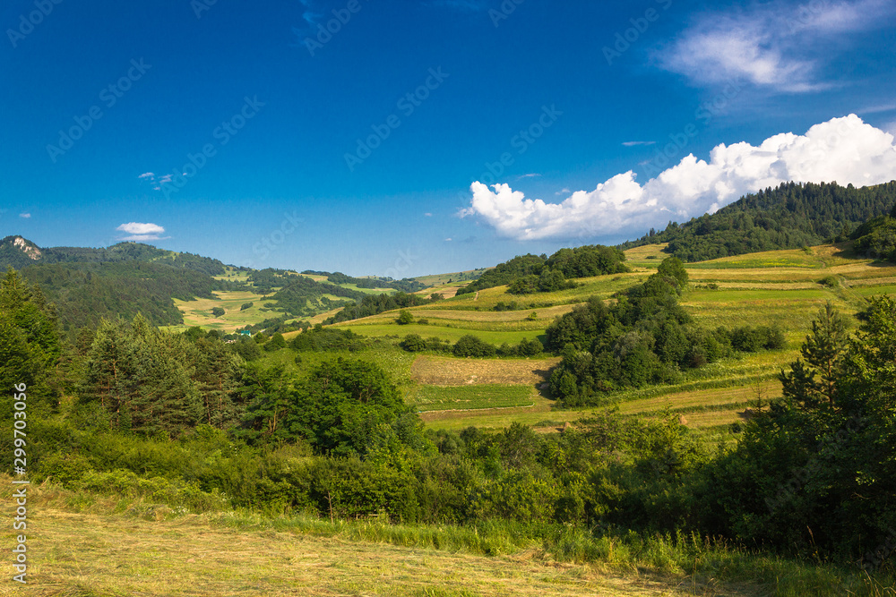 Obraz premium Fields on hillside in summer. Pieniny Mountains, Rabsztyn and Wysoki Wierch Mount on left. View from near village Lesnica, Slovakia.