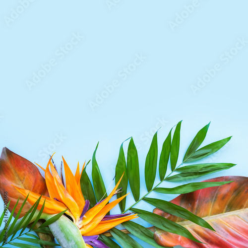 Background of tropical flowers, strelitzia and palm leaves, bouquet of exotic plants. Place for text. Flat lay. Summer concept. photo