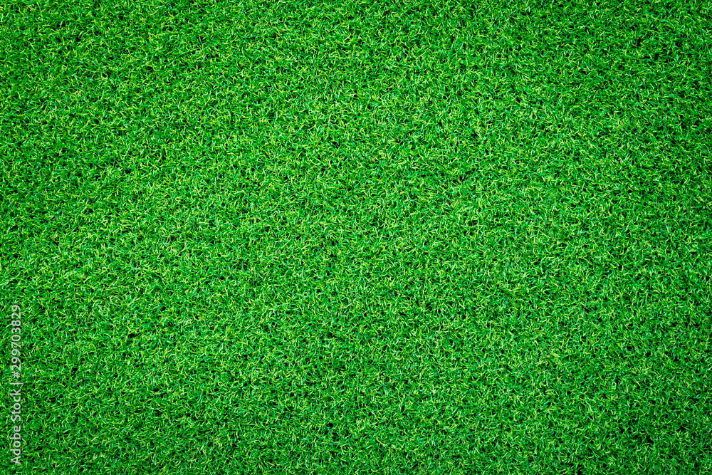Fototapeta premium green grass background