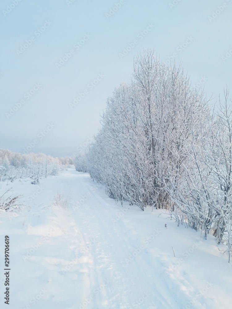 winter landscape with trees and snow winter landscape with trees and snow