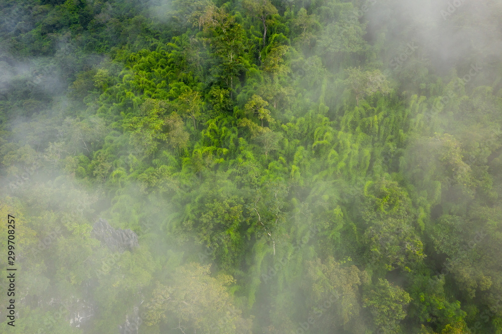 Aerial view of tropical rainforest. North Laos. Southeast Asia. Photo made by drone from above. Bird eye view. Aerial view of tropical rainforest. North Laos. Southeast Asia. Photo made by drone from above. Bird eye view.