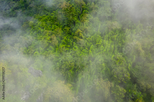 Aerial view of tropical rainforest. North Laos. Southeast Asia. Photo made by drone from above. Bird eye view. © Curioso.Photography