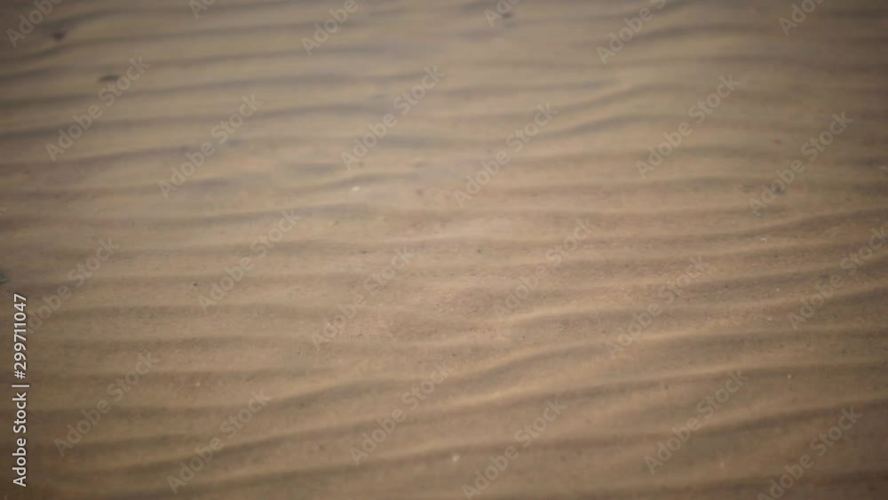 Sea wave with white foam running on a sandy shore, and going back, clear water close up video Sea wave with white foam running on a sandy shore, and going back, clear water close up video