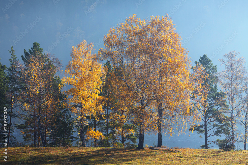 Autumn landscape, sunny morning