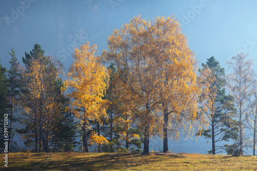 Autumn landscape, sunny morning