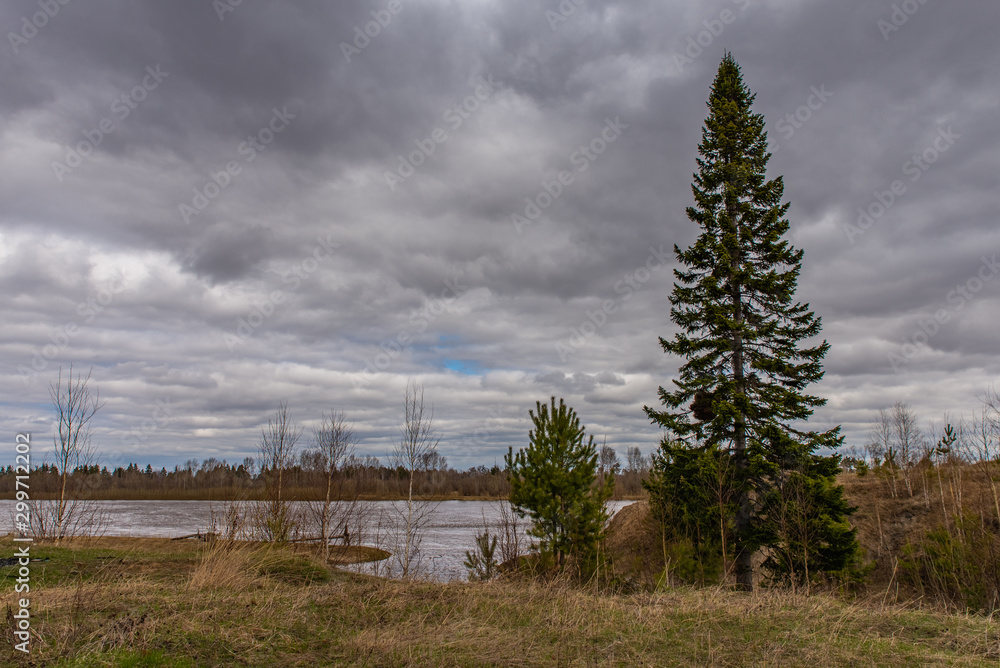 Stormy cloudy sky over the river. Windy weather. Highland. Lonely tall tree. Stormy cloudy sky over the river. Windy weather. Highland. Lonely tall tree.