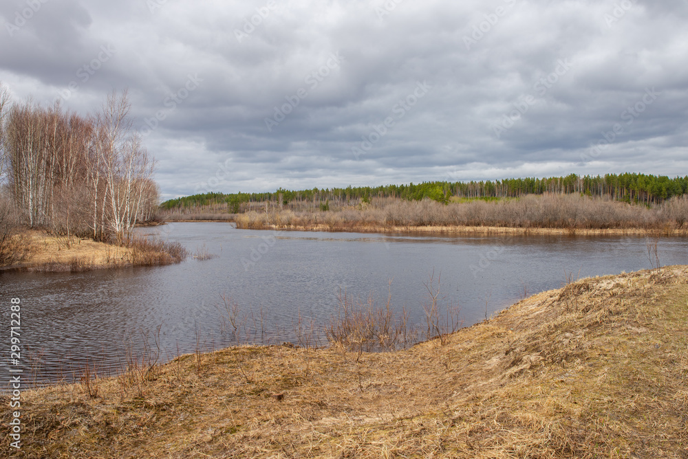 The lake on the background of the spring forest in cloudy weather