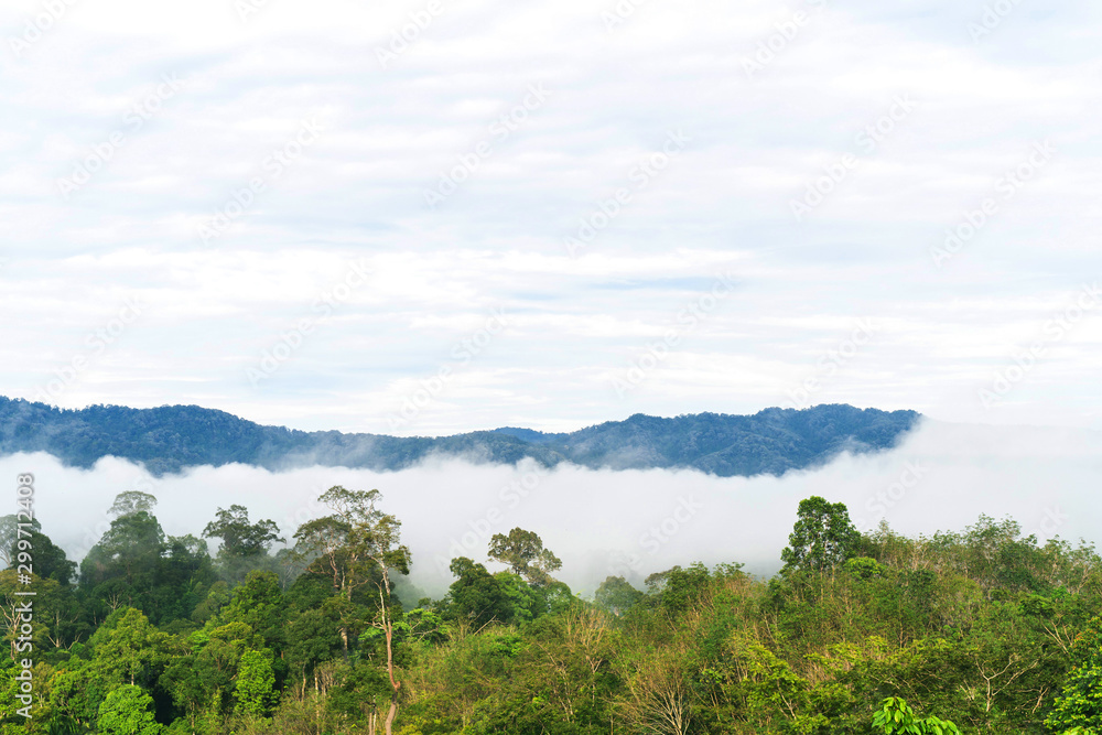 Good Morning mist background sky, Misty beautiful mountain in the Golden Mountain Bright green, abundant in Narathiwat Thailand. Good Morning mist background sky, Misty beautiful mountain in the Golden Mountain Bright green, abundant in Narathiwat Thailand.