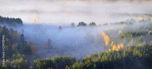 Mist over the forest and valley, panorama nature