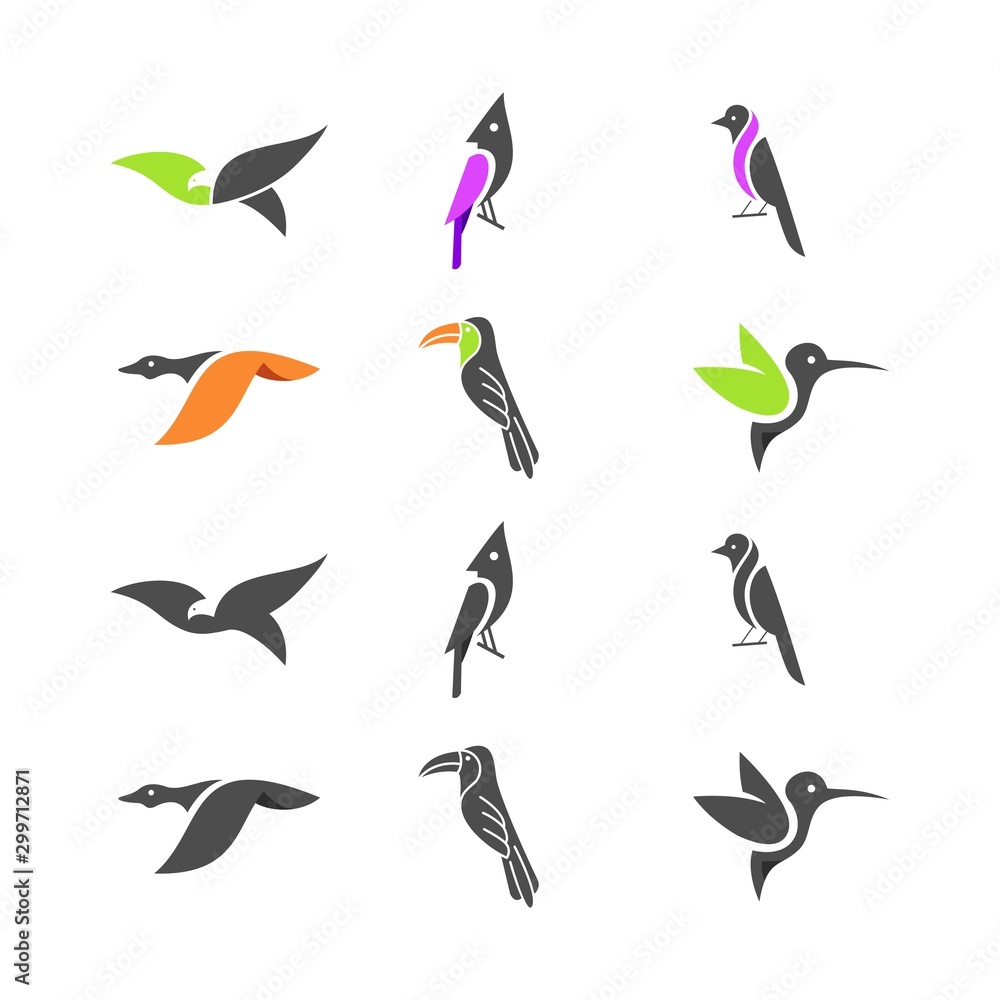 Fototapeta premium Bird Eagle Colorful Designs Concept illustration Vector Template.