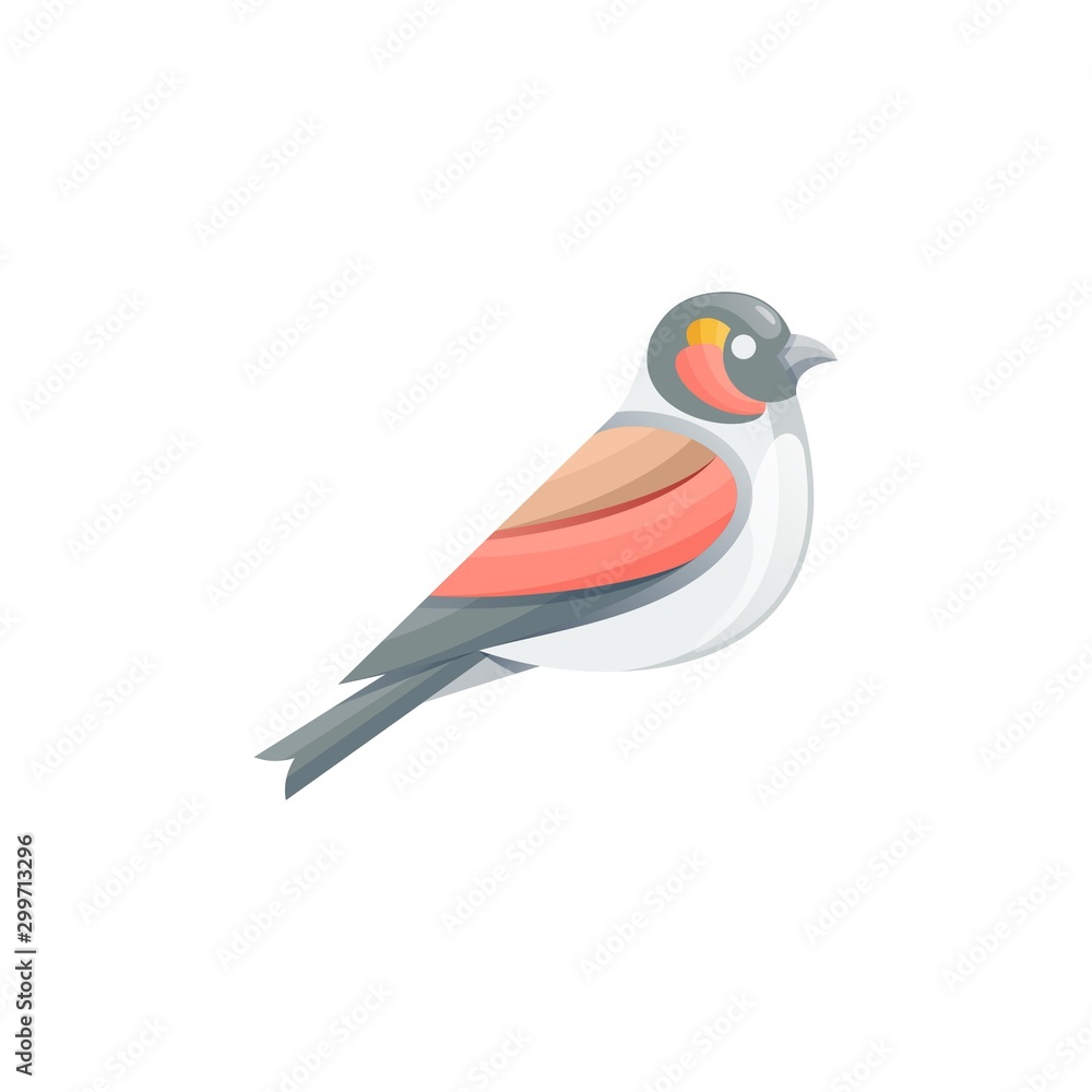 Obraz premium Humming Bird Colorful Designs Concept illustration Vector Template