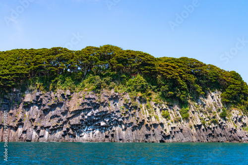 The coastal cliff 