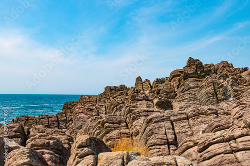 Oshima island platy joint. Anto, Mikunicho, Sakai City, Fukui Prefecture photo