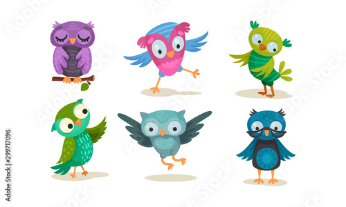 Set of humanized colorful owls. Vector illustration on a white background.