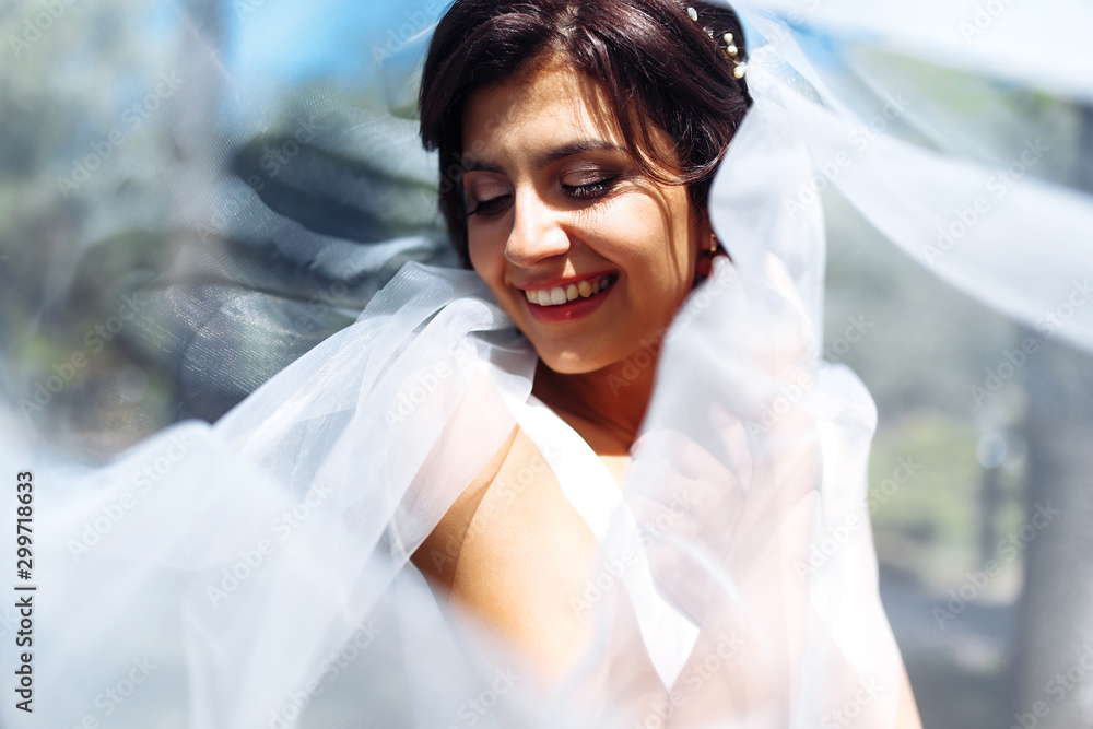 A beautiful portrait of the bride under a veil. Elegant woman with professional make up and hair style. A photo of delicate bride's hands hidden under a veil. Wedding day. Marriage. Fashion bride. A beautiful portrait of the bride under a veil. Elegant woman with professional make up and hair style. A photo of delicate bride's hands hidden under a veil. Wedding day. Marriage. Fashion bride.