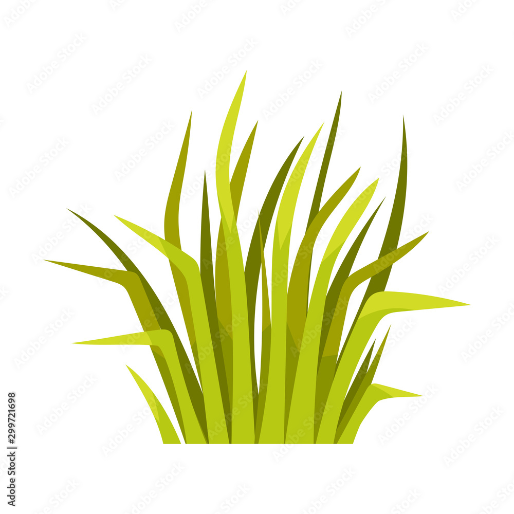 Obraz premium Bunch of grass. Vector illustration on a white background.