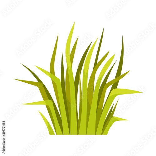 Bunch of grass. Vector illustration on a white background.