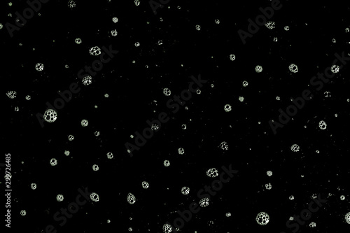 Abstract soap bubble or water drop on background .