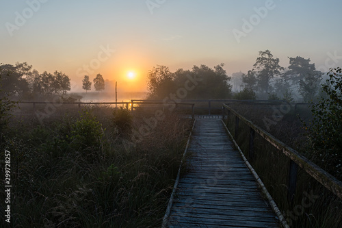 Sunrise in the misty Pietzmoor with a gently lying lake, some trees and the reflection in the moor lake. In the foreground a footbridge. 