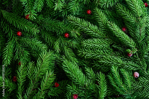 Christmas tree branches background. Christmas frame. Holiday's Background Happy New Year. Christmas tree frame. Design for banner, post