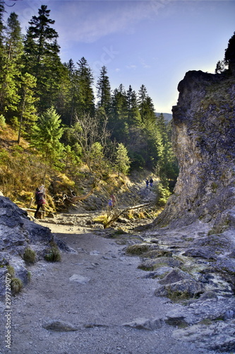 Fototapeta Naklejka Na Ścianę i Meble -  Gorge in the Western Tatras, White Valley, Dolina Bialego 