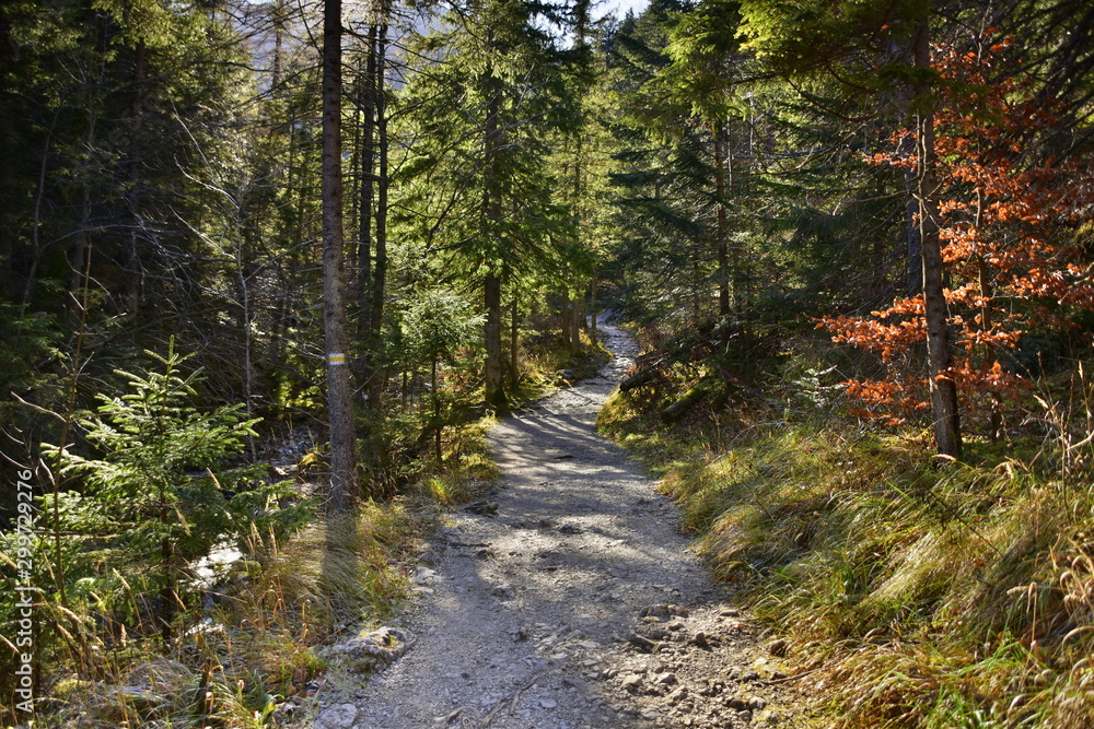 Obraz premium Gorge in the Western Tatras, White Valley, Dolina Bialego 