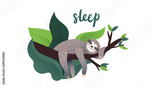 Cute lazy sloth sleeping on a branch of the tropical tree. Sleep type lettering. Vector calligraphy. Cartoon style, vector illustration. Slow down quote lettering.