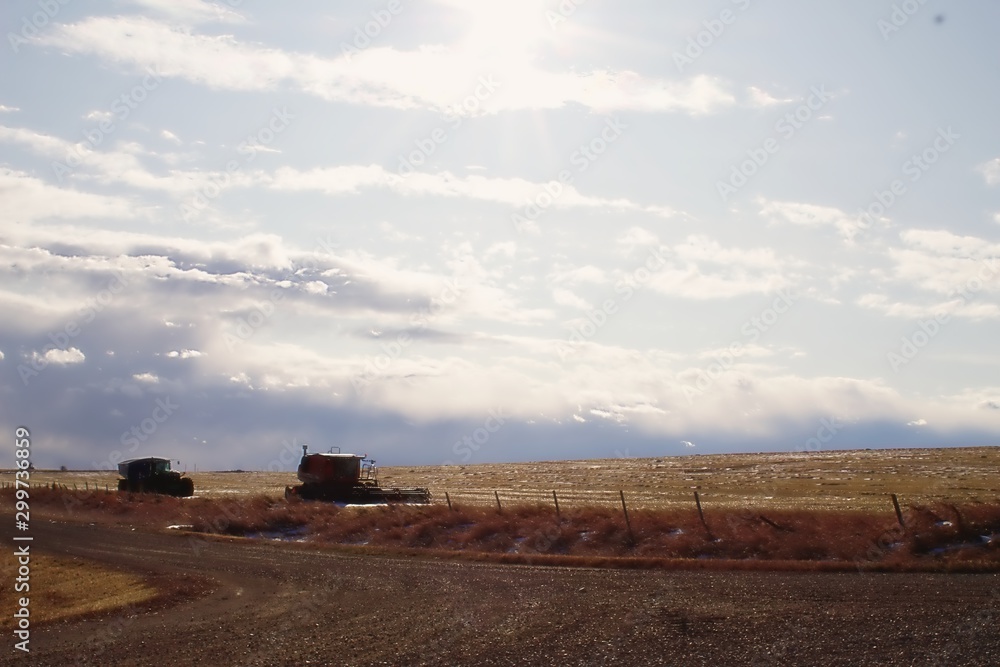 Fototapeta premium Farming Wide
