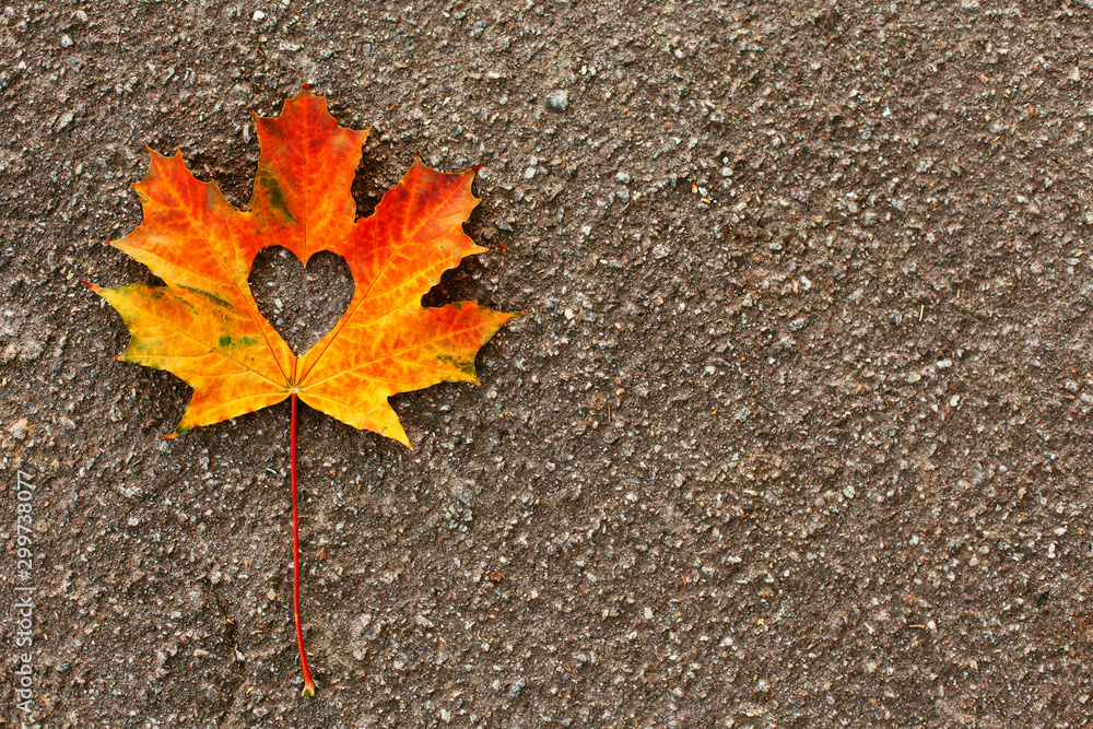 Red maple leaf with a heart-shaped hole in the middle. Symbol of love. Autumn fallen leaf on the pavement. Autumn road, travel, walks, adventures. Copy space, flat lay. Red maple leaf with a heart-shaped hole in the middle. Symbol of love. Autumn fallen leaf on the pavement. Autumn road, travel, walks, adventures. Copy space, flat lay.