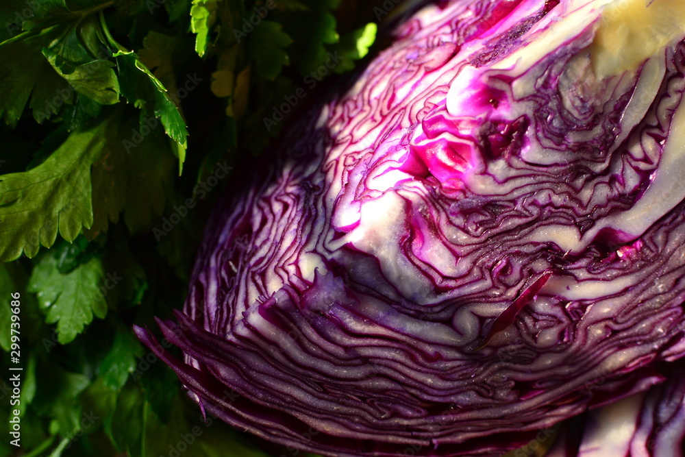 Obraz premium Fresh vegetables in the sunlight. Red cabbage and parsley. Vegetarian wholesome food. Red cabbage in a cut.